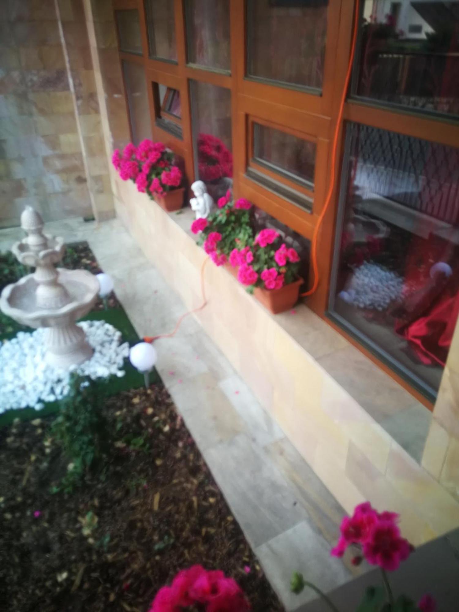 Villa Barrandovska Praha Bagian luar foto